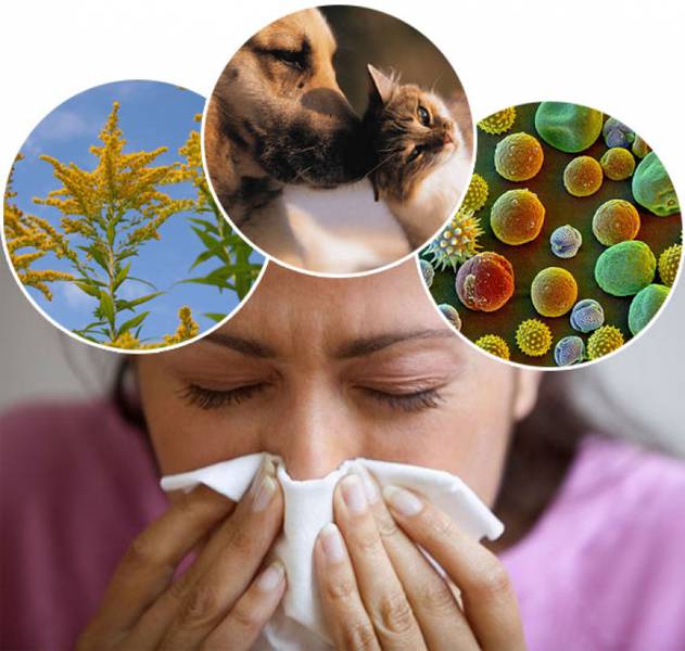 PROTIA Allergy